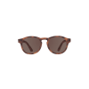 BABIATORS - Lunette de soleil non polarisée, Totally Tortoise – Image 4