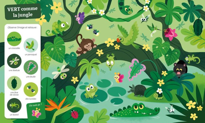Auzou - Livre Cherche et Trouve des Tout-petits, Les couleurs – Image 2