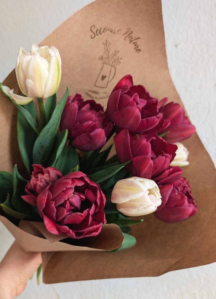 PRÉCOMMANDE - BOUQUET DE 10 TULIPES ASSORTIES – Image 3