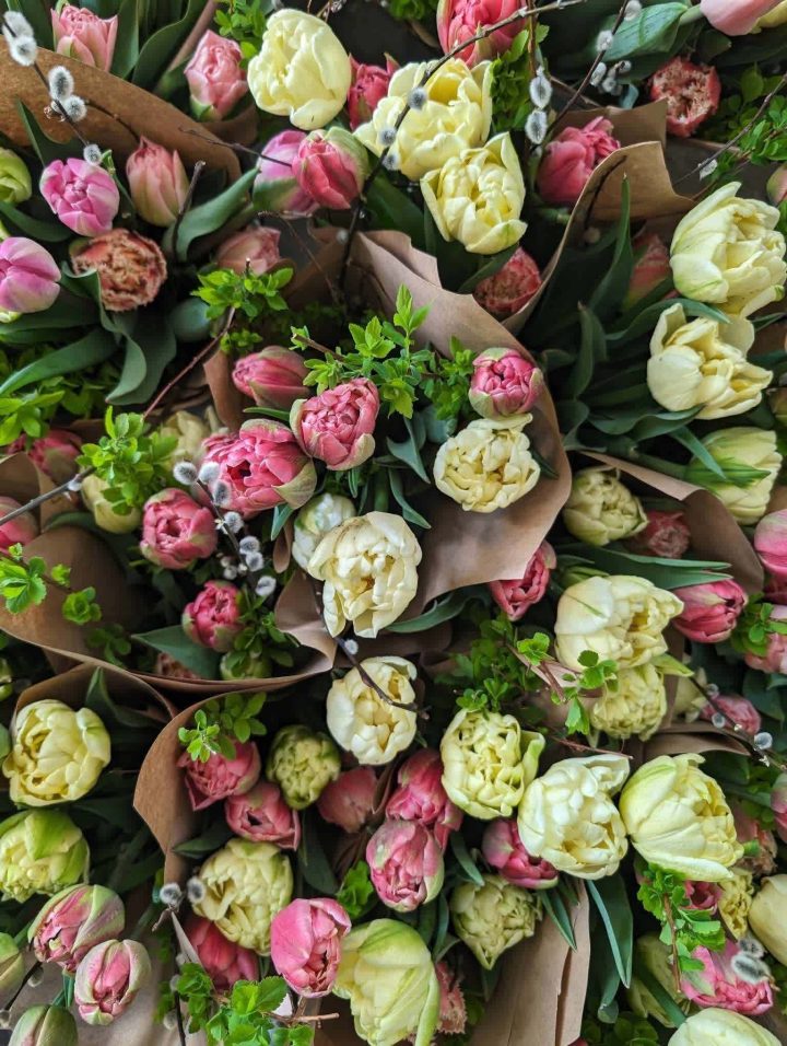PRÉCOMMANDE - BOUQUET DE 10 TULIPES ASSORTIES – Image 5